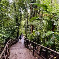 La Paz Waterfall Hike!