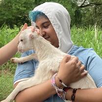 my baby goat