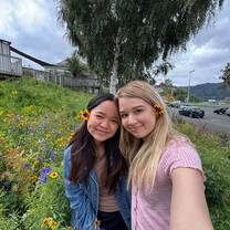 Wild Flowers 