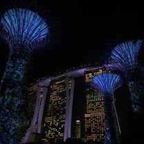 Gardens by the bay