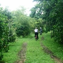 Cycling Pulau Ubin