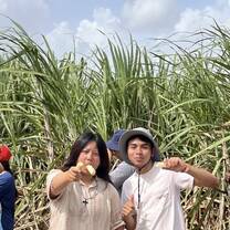 Sugarcane Visit