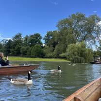 Cambridge day with Beyond 