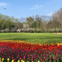 Spring is so beautiful in china! 