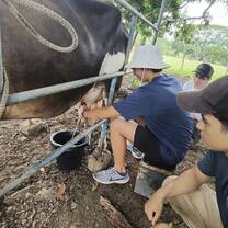 Finca Pamel