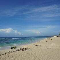 Beach Day!