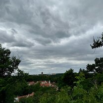 Halle from above (at the Zoo)