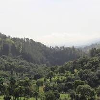 The Beauty of Nature
