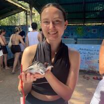 Turtle conservation volunteering