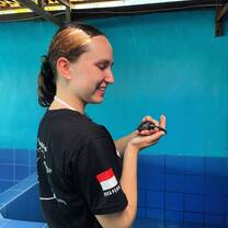 Turtle conservation volunteering 