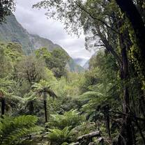 Fox Glacier