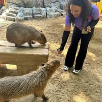 ENGLISH CAMP WEEKEND 