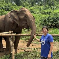 Elephants! 