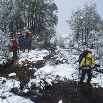 Snowy morning group expedition 
