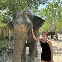 Elephant Sanctuary in Phuket, Thailand