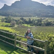 Vineyard 