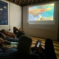 Movie night
