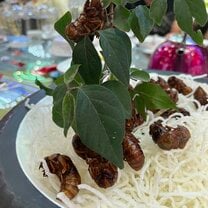 Cicadas for dinner!