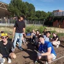 urban garden activity