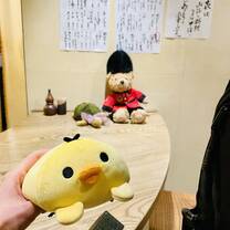 Funniest moment, Duck and his new friends provided by the owner!