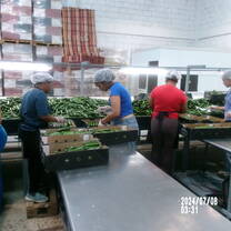 Working like a local