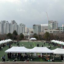 Club fair at Sogang campus