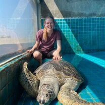 As part of the marine course, we spent two days volunteering and assisting the vets at two different sea turtle rescues, which was great hands-on experience with these incredibly animals.