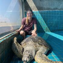 As part of the marine course, we spent two days volunteering and assisting the vets at two different sea turtle rescues, which was great hands-on experience with these incredibly animals.