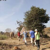 One of the rescue sites that we visited was purely hands-off, so we spent our time there observing the elephants in their natural habitat during the "elephant hikes"!