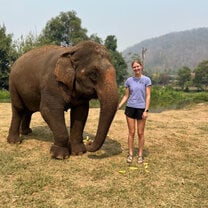 During the elephant course, we worked at three different elephant sanctuaries to learn about different care methods and how the sanctuaries handle various ethical dilemmas in Thailand.