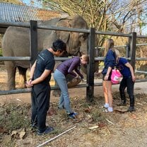 During the elephant course, we learned how to perform basic footcare for the elephants.
