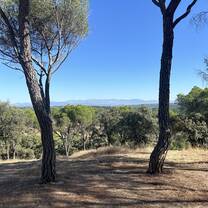 View from the Casa de Campo park in central Madrid!