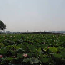 This is west lake! 