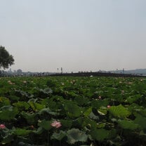 This is west lake! 