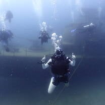 As part of the advanced dive course, we got to see a the HTMS Suphairin 313 wreck, which was super cool! We even got to go through the main cabin and captains cabin!