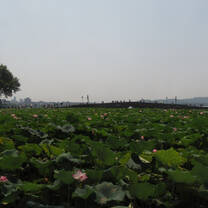 This is west lake! 