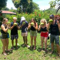 Trying a coconut