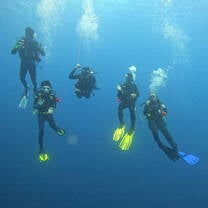 Just another dive day with the marine team, doing reef surveys