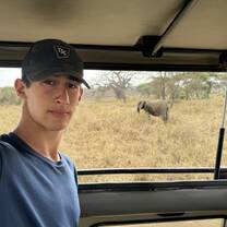 Safari