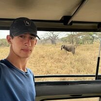 Safari
