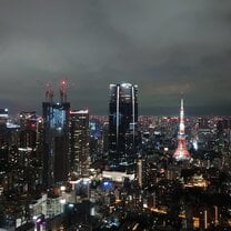 City View from Roppongi Observation Deck