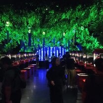 Art Aquarium Museum, Ginza