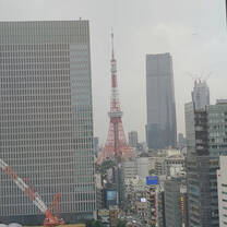 View from my office