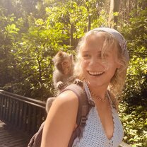 monkey forest in bali