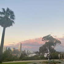 the view from king's park 