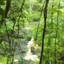Waterfall During Community Service Hike