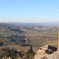 Beautiful Tuscan Vineyard. (Montepulciano, Italy) 