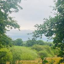 A beautiful Morning