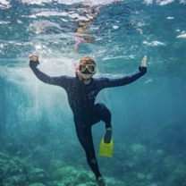 Snorkeling in The Great Barrier Reef
