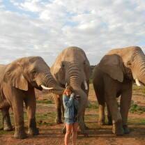 Elephant Walk, Garden Route